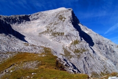 bavyera-13
