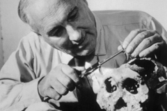 29 Aug 1960, Washington, DC, USA --- Paleoanthropologist Louis Leakey takes measurements of a 600,000 year old hominid skull found in the Olduvai Gorge in Tanzania. --- Image by © Bettmann/CORBIS