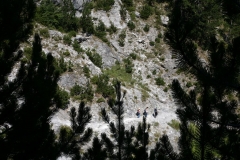 olympos-02