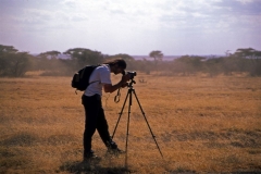 serengeti-05