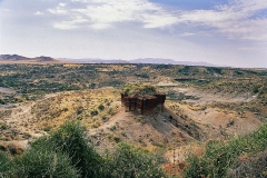 serengeti-06