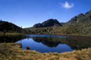 Mount Kenya Chogoria rotası